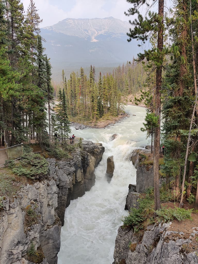 Canada Road Trip- Sunwapta Falls, Jasper